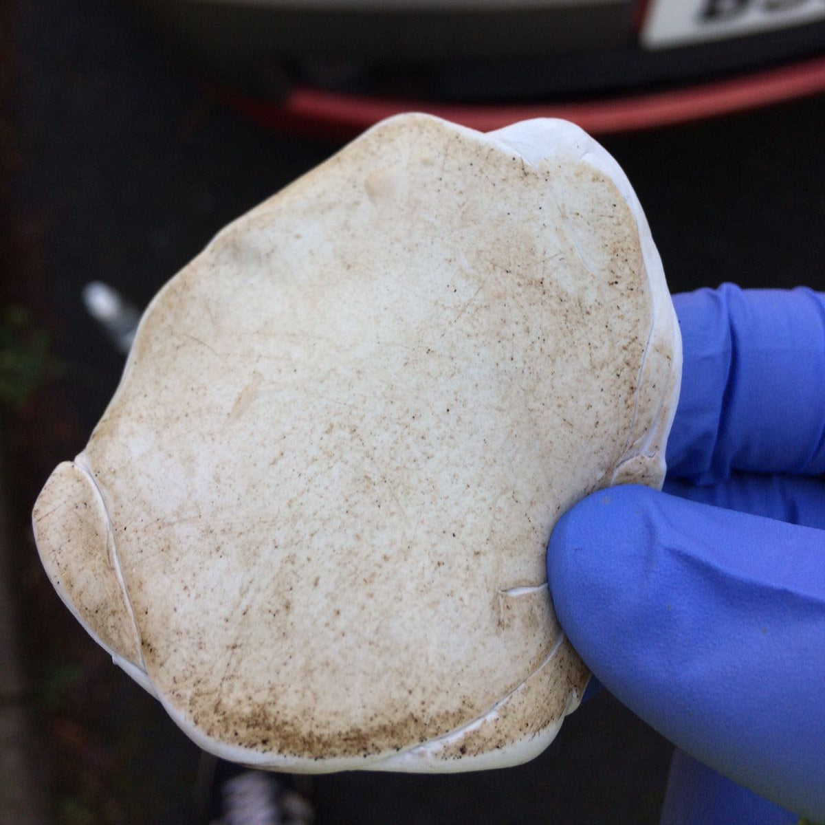 GB Detailing fine abrasive clay bar 200g