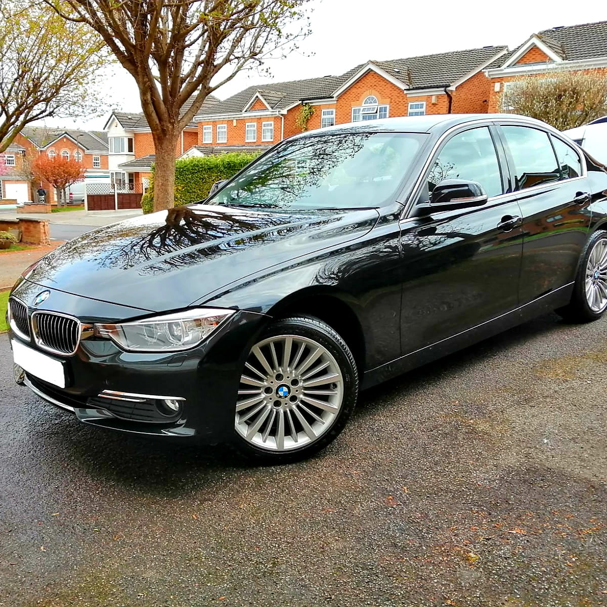 Rinse & Protect V2 concentrate