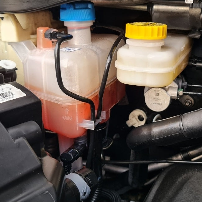 Engine Bay Cleaning