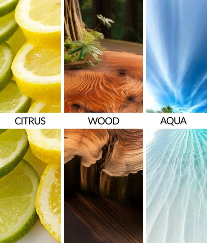 Flava Couture Scent Tin - Savage